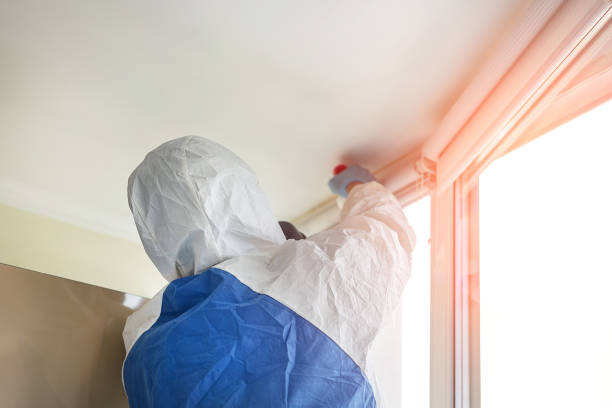 Why You Should Choose Our Mold Remediation Services in Jacobus, PA