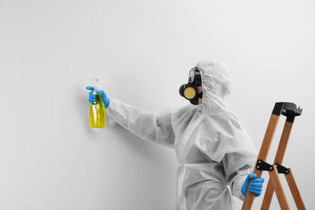 Mold Documentation for Insurance Claims in Jacobus, PA